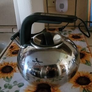 Shiny Silver Tea Kettle with Black Handle